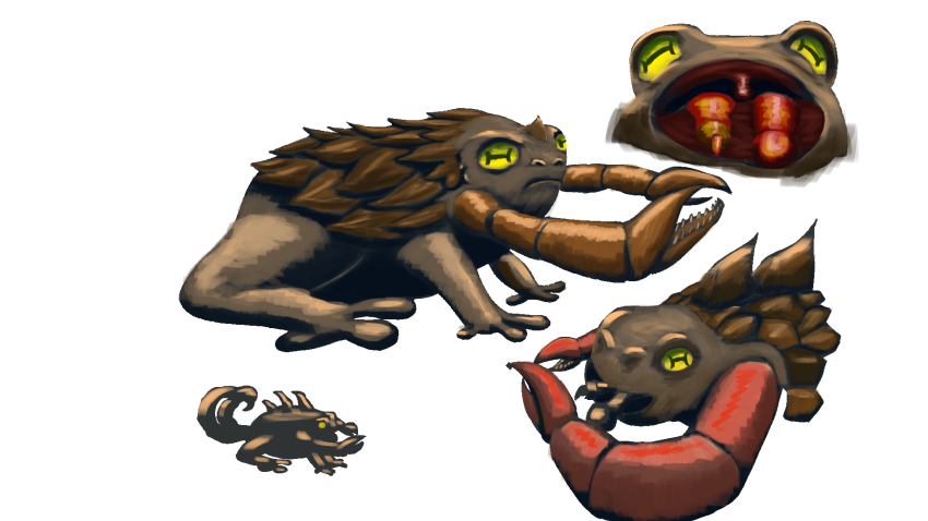 Squeeky, the rain desert frog